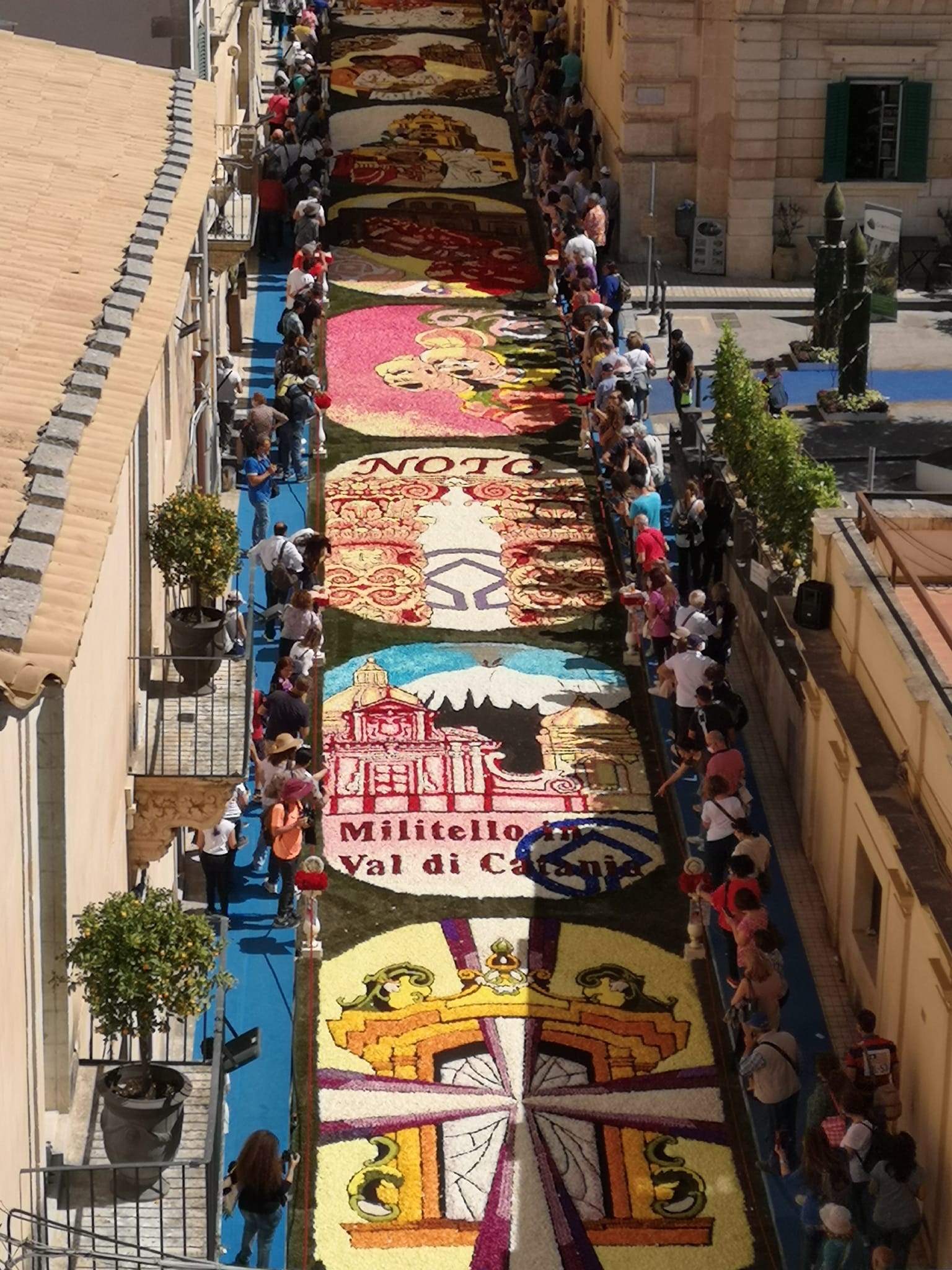 infiorata-di-Noto.jpg