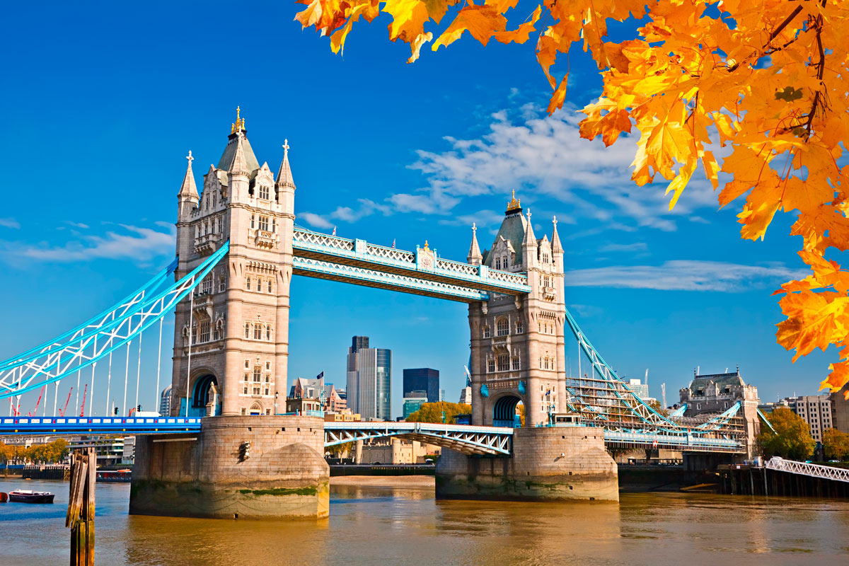 shutterstock_152705708.jpg